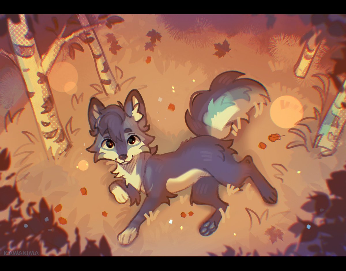 KAWANIMA 🌿 tweet media