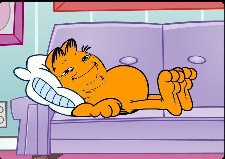comfy_solana's tweet photo. COMFY FOR Q4 https://t.co/gtKQVgJiwH