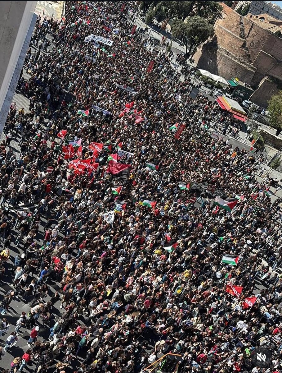 Rossella660's tweet image. La storia siamo noi padri e figli,
siamo noi bella ciao che partiamo 

Roma.
L&apos; Italia è questa❤️🇵🇸