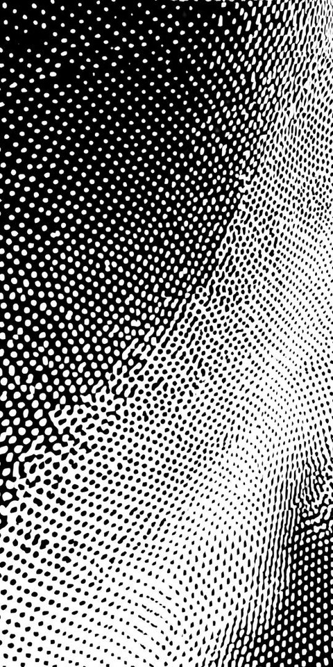 dejavuwallpaper's tweet photo. Patterns breathe where silence once lived.
Each dot a heartbeat in the dark.

Send this to your past self.
wallpaper #dejavuwallpaper #abstractart #blackandwhite #dotpattern #minimalist #visualpoetry #digitalart #monochrome #texture #aesthetic https://t.co/qnHLDssKdt
