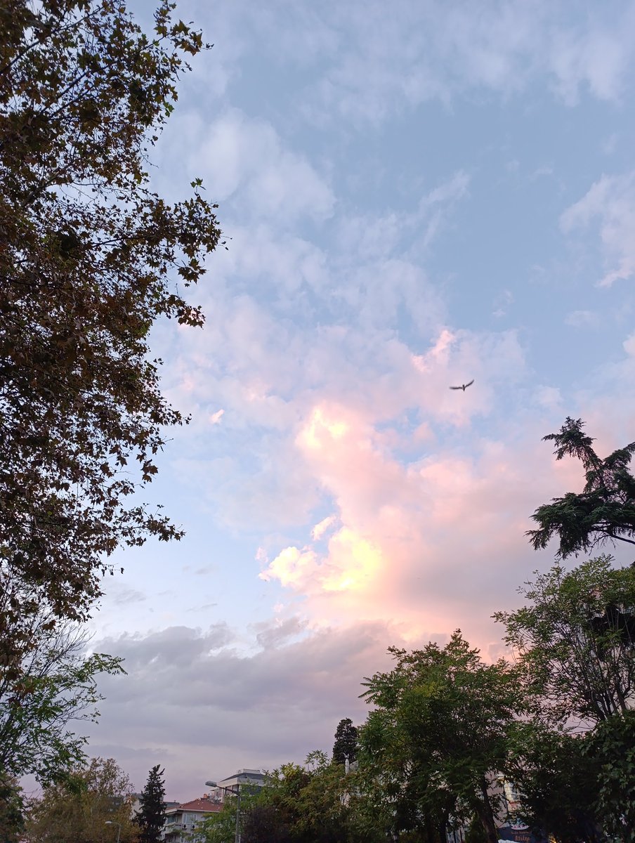 aykacc1919's tweet image. Akşamın rengi de bir başka güzel Çocuk 🥰💙
Hele ki sonunda sevdiklerin bekliyorsa #iyiki🤲
Mutlu akşamlar...