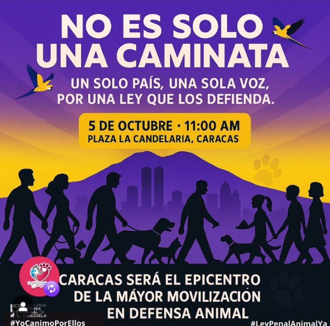 GRACE🇻🇪🆓 tweet media