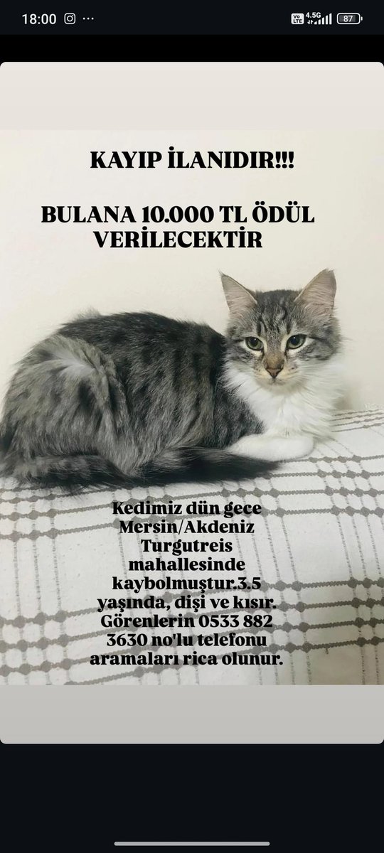 <a href="/akdenizbld/">T.C. Akdeniz Belediyesi</a> <a href="/mersin_bld/">Mersin Büyükşehir Belediyesi</a> <a href="/MezitliBel/">MEZİTLİ BELEDİYESİ</a> <a href="/yenisehir_bel/">Mersin Yenişehir Belediyesi</a> <a href="/Toroslarbld/">Toroslar Belediyesi</a> onu çok özlüyorum lütfen yardım edin