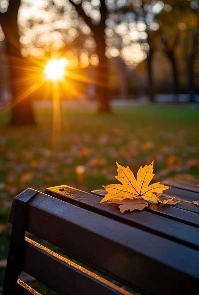 𝑩𝒆𝒂𝒖𝒕𝒊𝒇𝒖𝒍 𝒆𝒗𝒆𝒏𝒊𝒏𝒈 𝒆𝒗𝒆𝒓𝒚𝒐𝒏𝒆 💫🩵