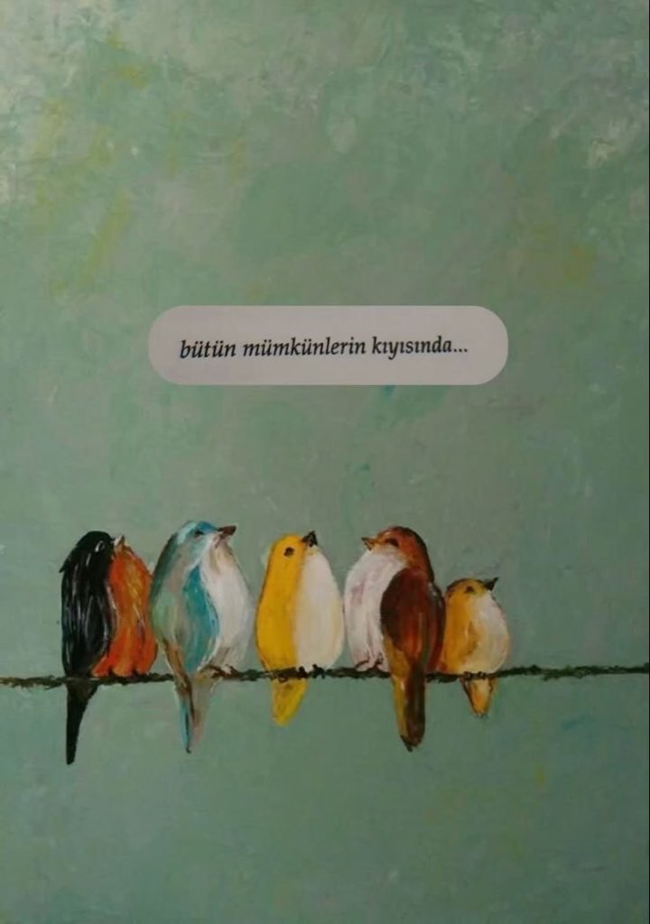 Ardıç Kuşu (@ardiskusu) on Twitter photo 