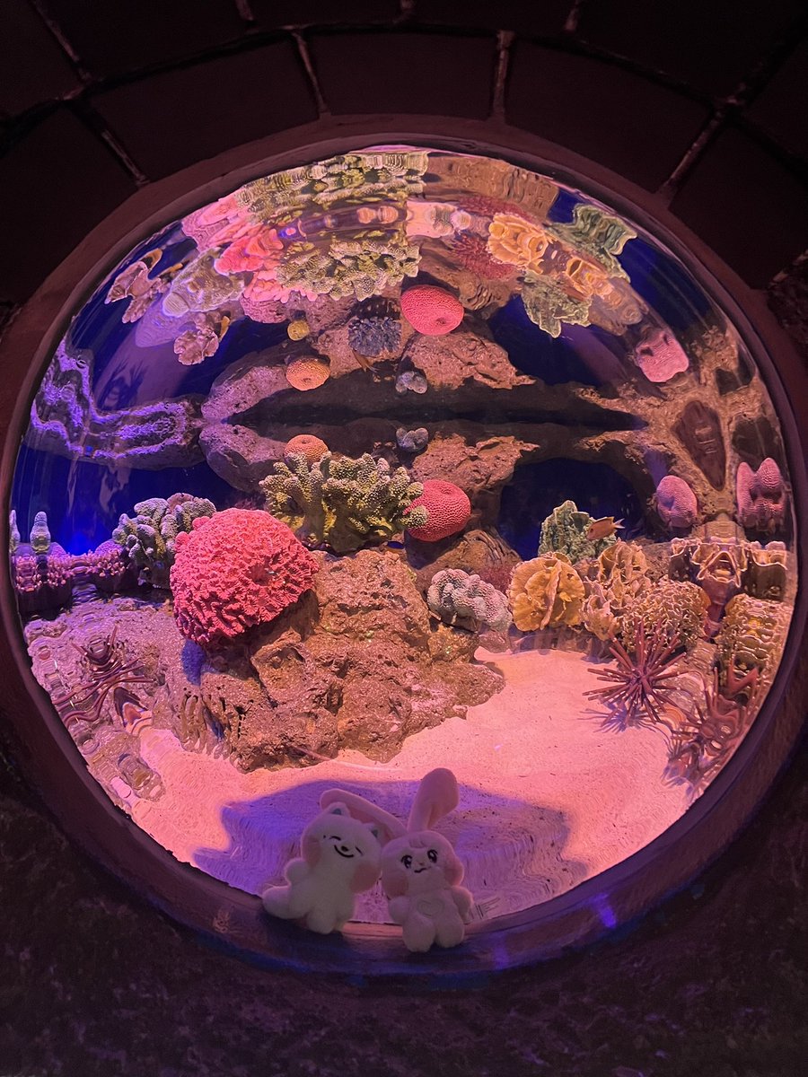 หนีแม่เท่ว