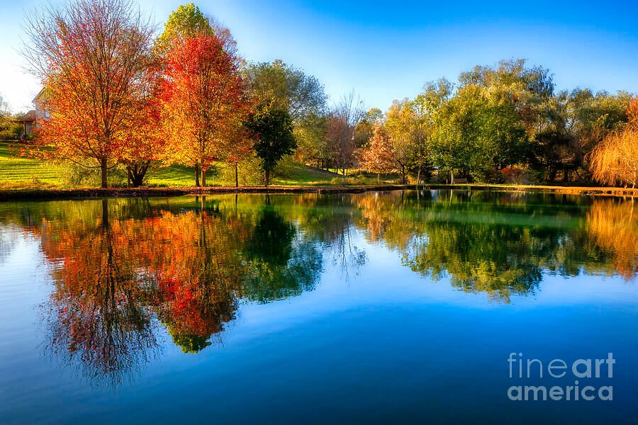 shelia_hunt's tweet photo. Autumn on Willow Lake in the Blue Ridge Mtns https://t.co/lZ7SKrguJL
#SheliaHuntPhotography #WillowLake #Tennessee #NortheastTennessee #fineart #AYearForArt #BuyIntoArt #autumnvibes #fallcolors #fallcolours #peaceful #reflections #serene https://t.co/MpVJAFtYp7