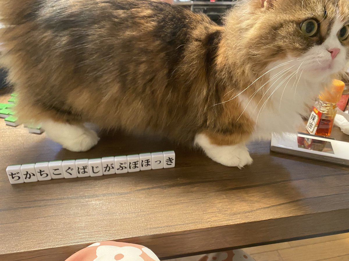 ひらがじゃんクソ配牌とねこ