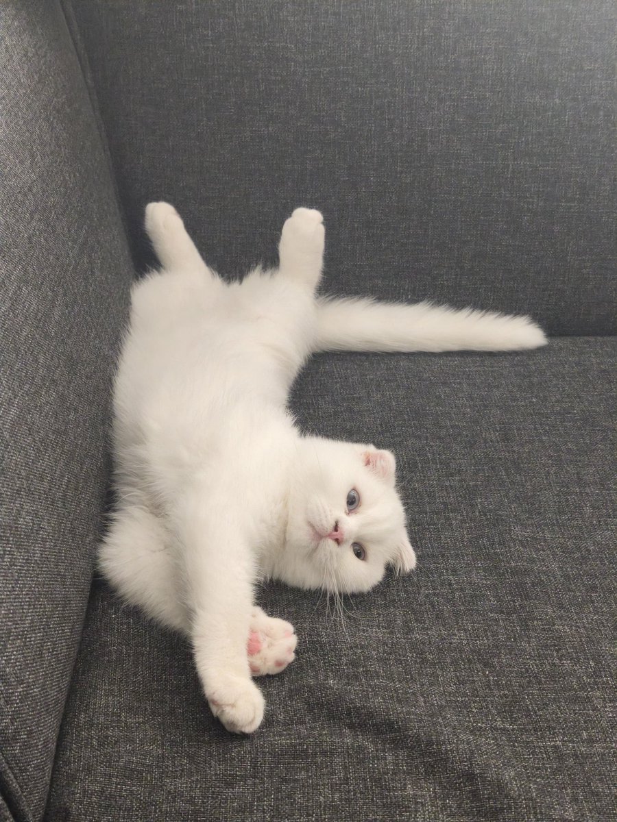 BuProject18's tweet image. Hayatıma hoş geldin 🧿🧿