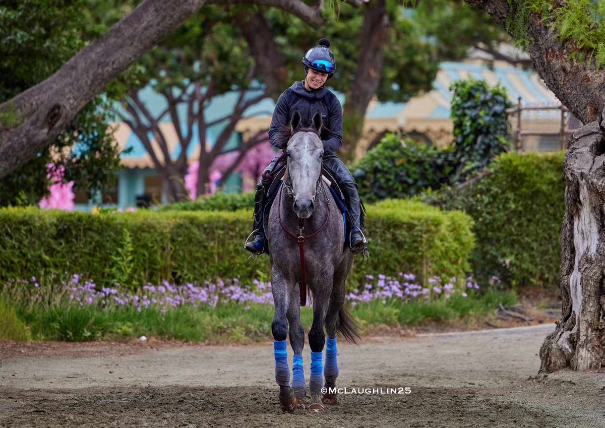 kimo16's tweet photo. Del Mar Debutante winner Bottle of Rouge getting some exercise this morning under Morgane Kervarrec for HoF trainer Bob Baffert @santaanitapark @BobBaffert @Morgane_mmk https://t.co/5JXYvJFh1M