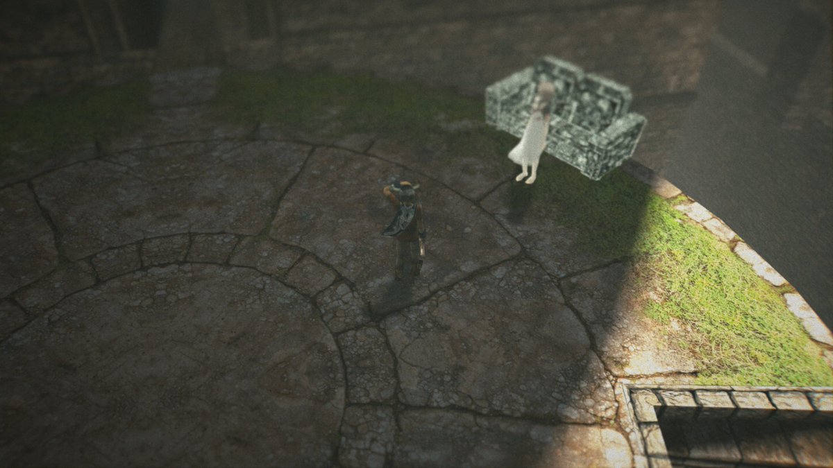 You have no idea of the problems I'm having with this game:

✖ Fullscreen: lighting flickers
✖ Blurry even at 8K
✖ HD textures look blurry even at 8K
✖ Extreme ghosting
✖ Ico can't go pee on a tree because shadows are always watching