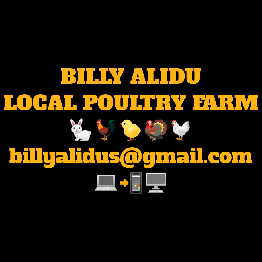 AliduSeyram's tweet photo. Still I need peoples helping for my local
Poultry farm billyalidus@gmail.com https://t.co/L7m7gKFcG6