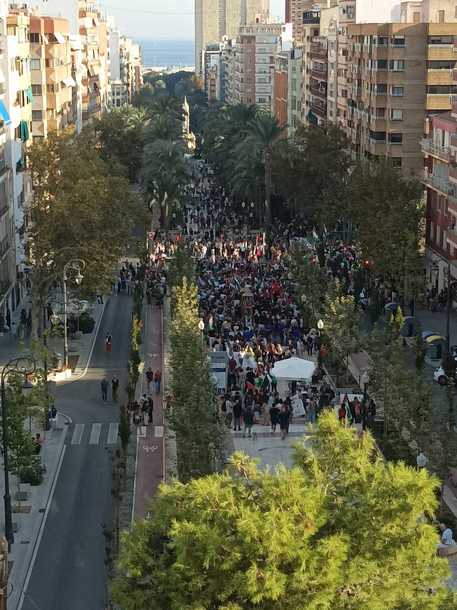 Alacant amb Palestina