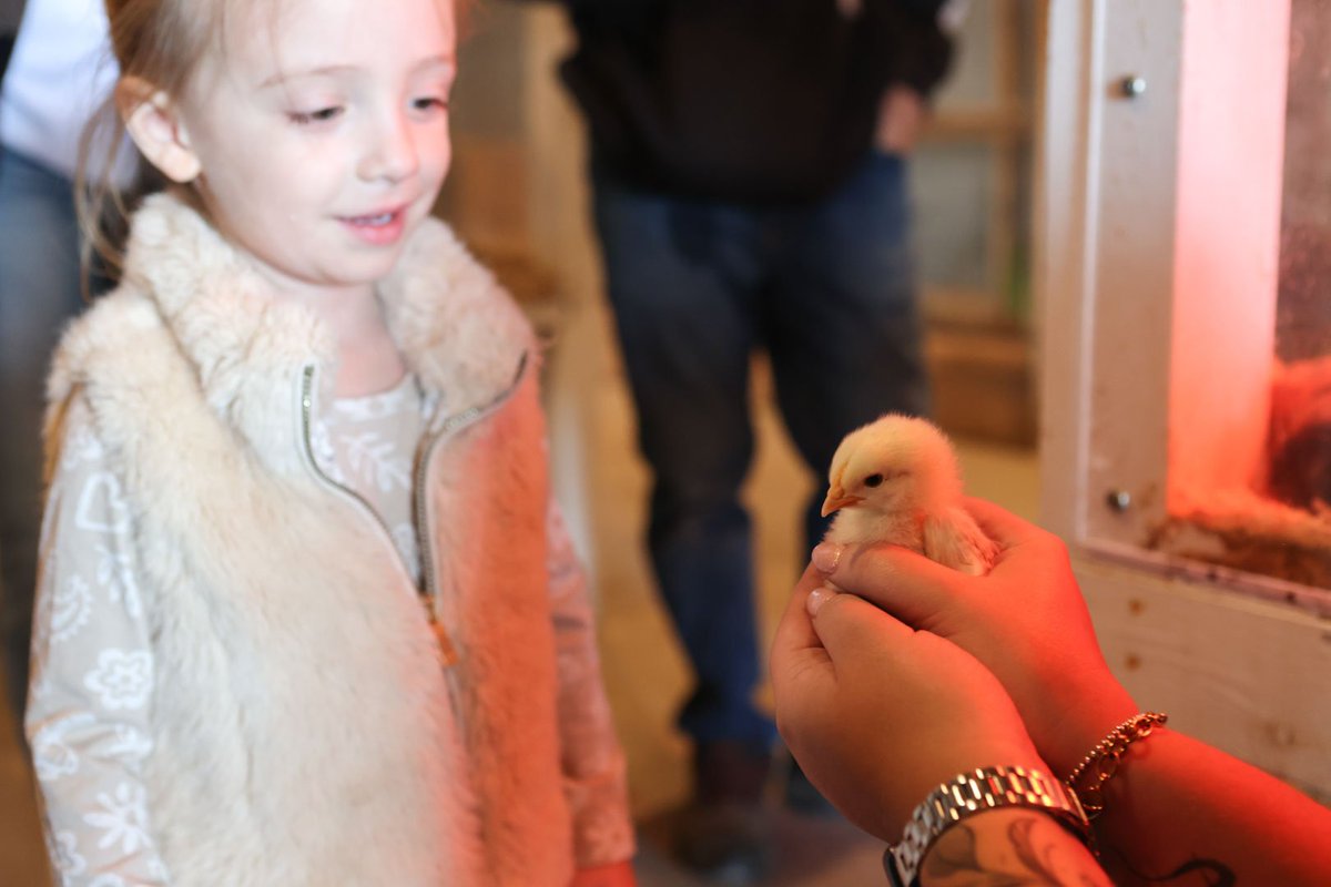 Markham Fair tweet media