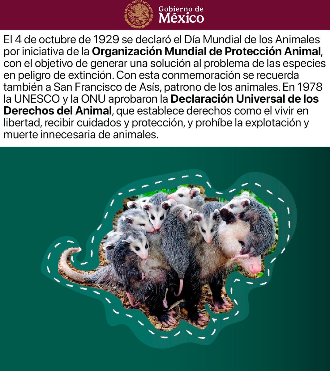 ¿Por qué es Tendencia? tweet media