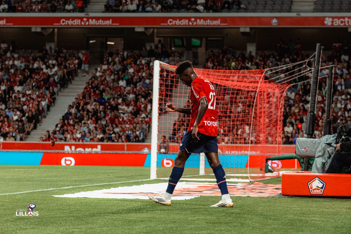 Le Petit Lillois ⚜️ tweet media