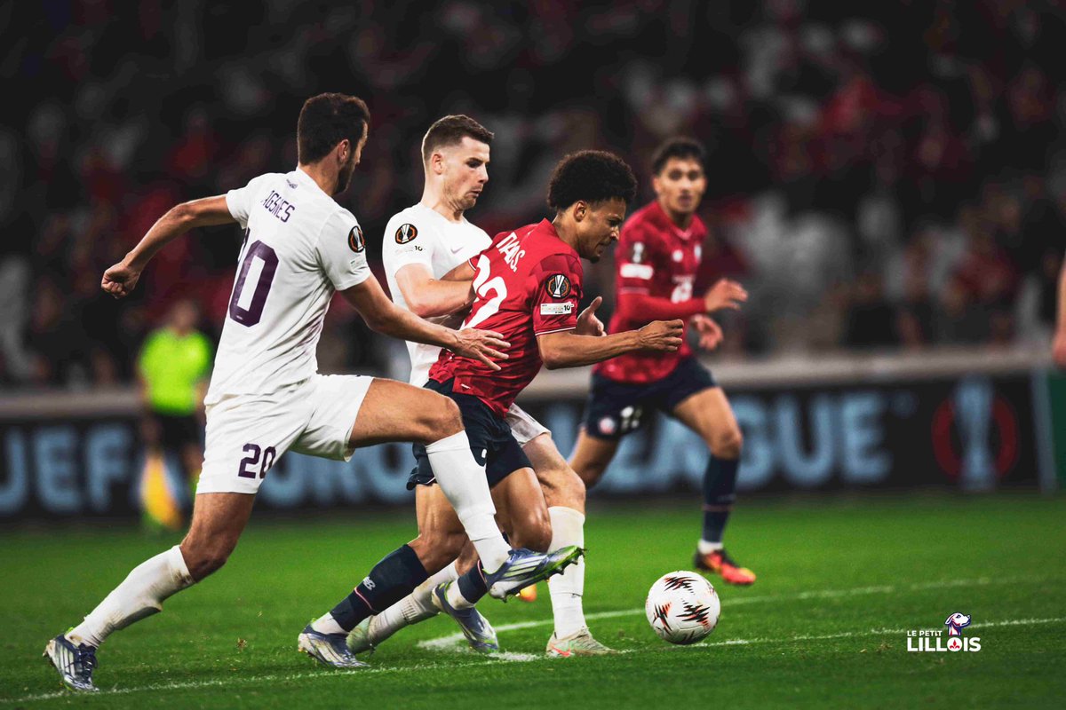 Le Petit Lillois ⚜️ tweet media