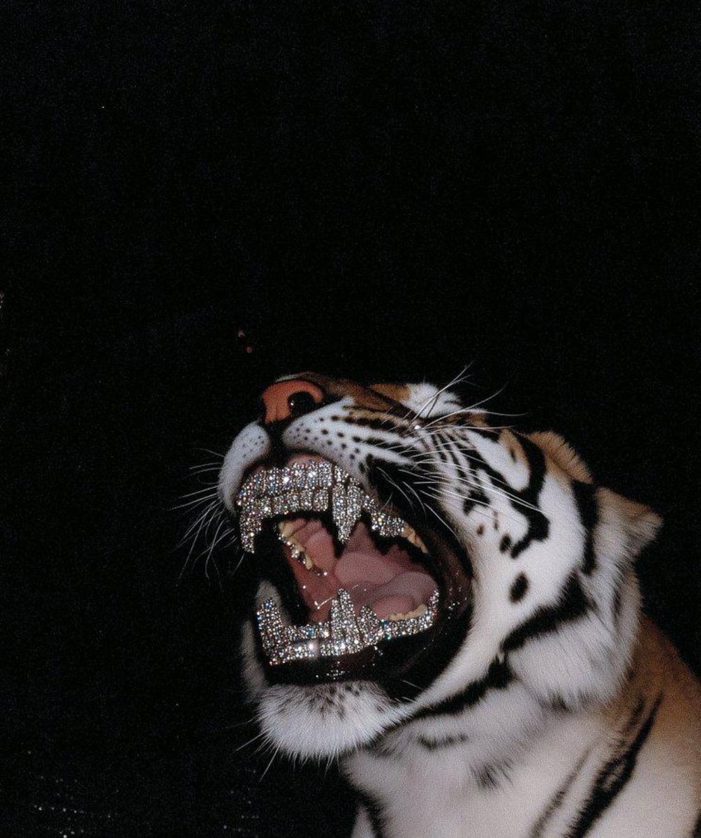 Hirinjuwon's tweet photo. Just when normal got boring... lol💎🐅 https://t.co/c6JRFrlOls