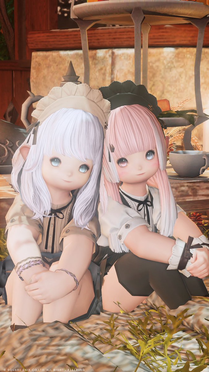 🏷️ ⋆˳˙ #みけのおへや ˙˳⋆    
      #おはララ #ララフェル

リーファさんと ꒰ <a href="/Leafa_Hades/">リーファ☽Hades</a> ꒱ .ᐟ.ᐟ ✧˚.