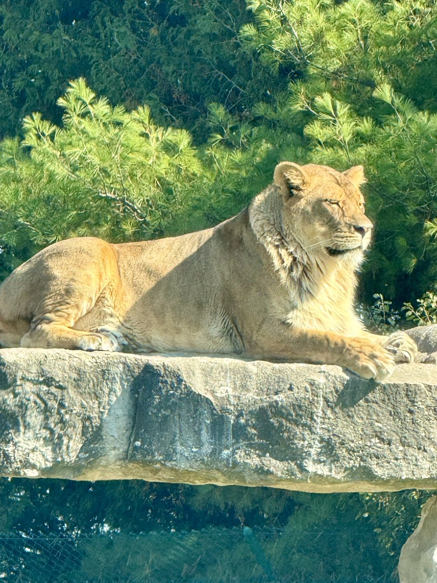 Hi Anna <a href="/PawanKalyan/">Pawan Kalyan</a> ❤️❤️