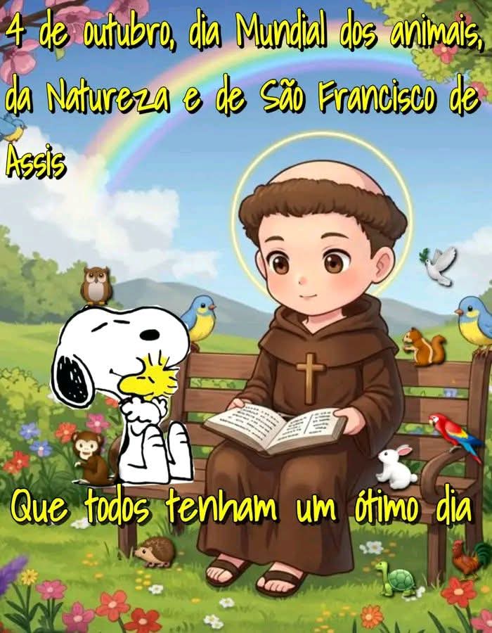 🔰Lucia HS🇧🇷⚖️Ⓜ️☘️ (@luciakind) on Twitter photo 