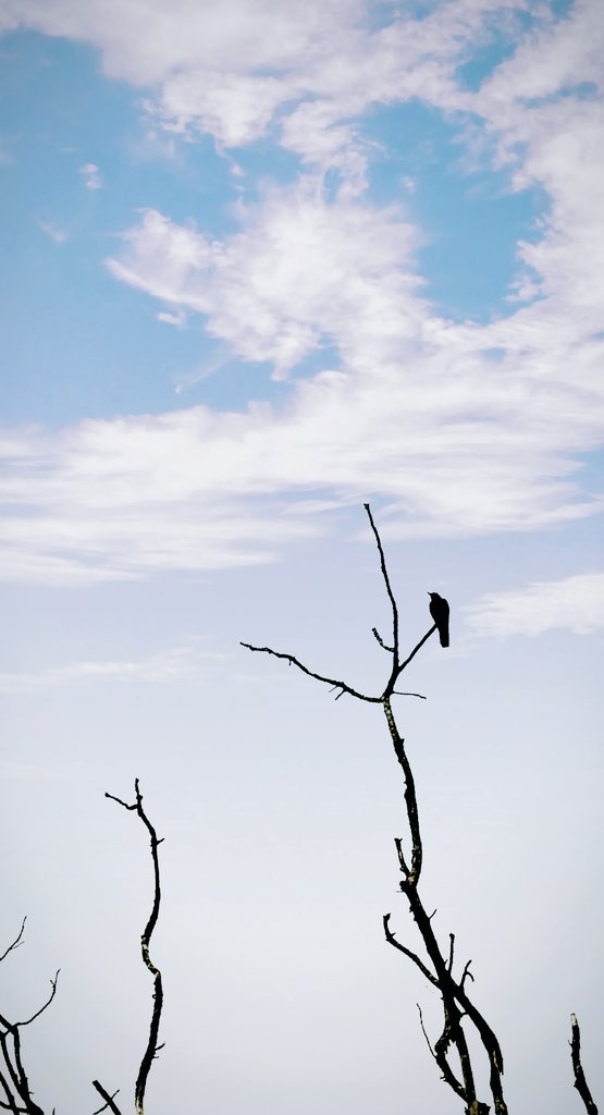 NeptuneX3's tweet image. #silence