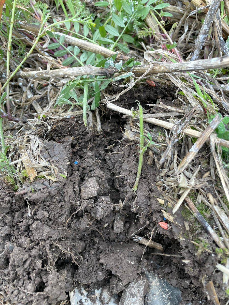 Tow And Fert Europe tweet media