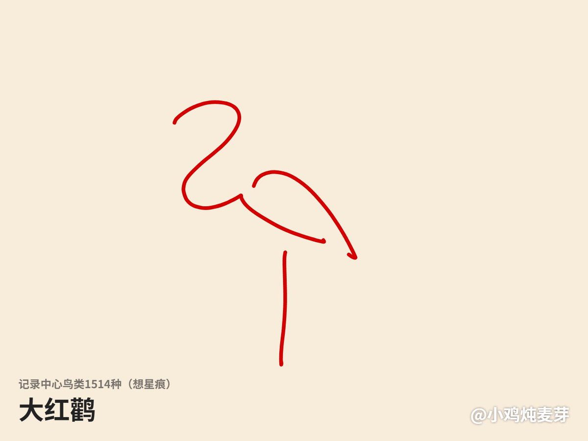 Maltodextrin27's tweet photo. "Greater Flamingo" :D https://t.co/P4efivTT8e