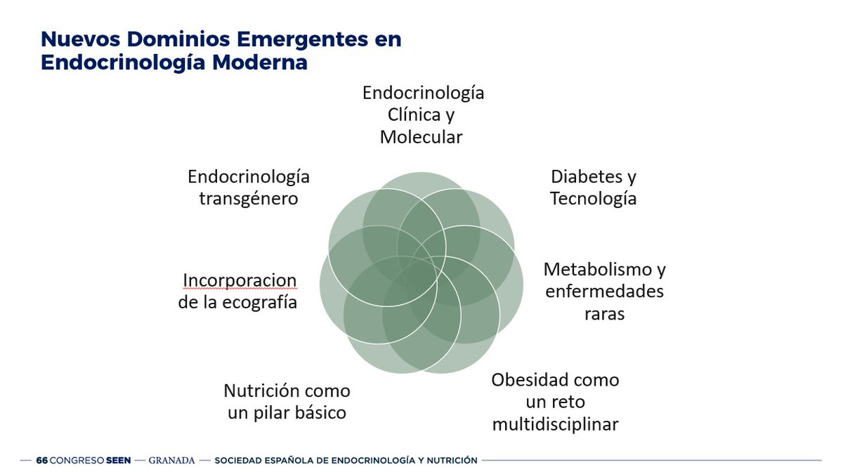 mdballesteros's tweet photo. Comenzando #SEEN205 hablando del nuevo programa formativo de #endocrinologiaynutricion . Trabajando para actualizar la formación de nuestros #MIR
@manelpuigdoming https://t.co/EVw1m9RpJQ