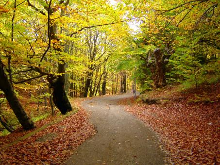 İnsanlar genel olarak yaptığı işten mutsuz; az veya çok para kazanması fark etmiyor. Bu durum A'dan Z'ye tüm sektörlerde domino etkisi yaratıyor. İyilik yapan iyilik bulur misali, insanlar ne yaparsa yaptığının karşılığını alır; bunu unutmamak gerekir.