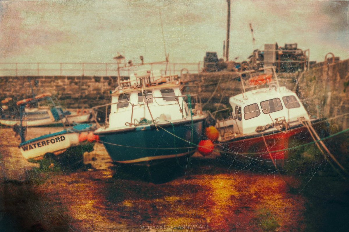 Frankie Lloyd 👀 tweet media