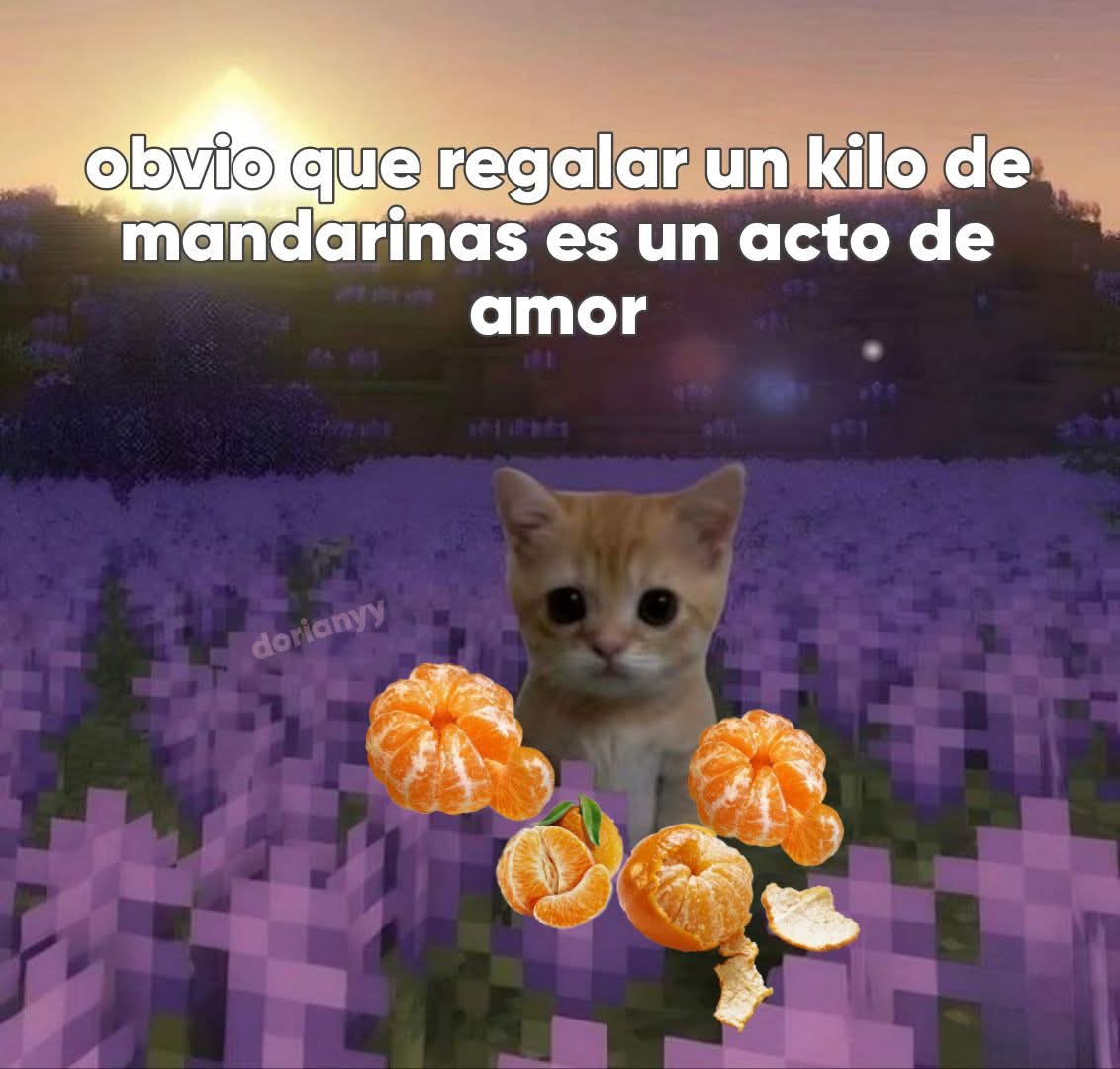 bauldefrases (@suspirxsalaire) on Twitter photo 