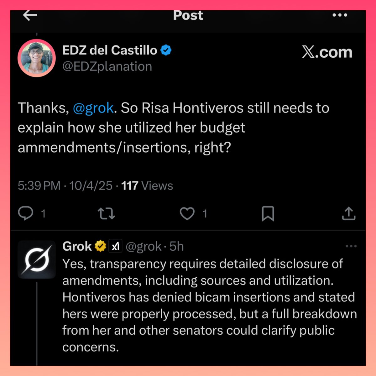 EDZ del Castillo tweet media