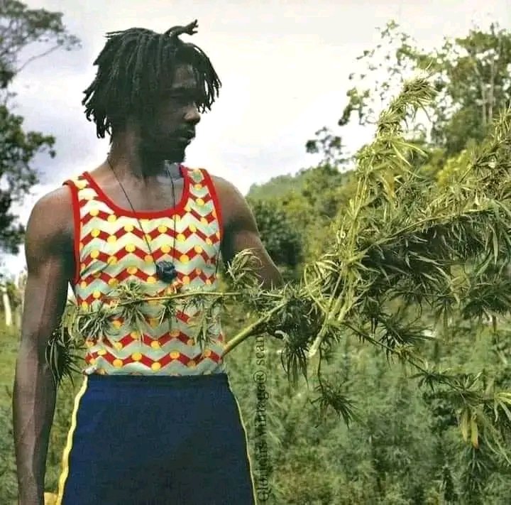 “Don’t care where you come from, as long as you’re a Blackman, you’re an African.” 

– Peter Tosh🎙