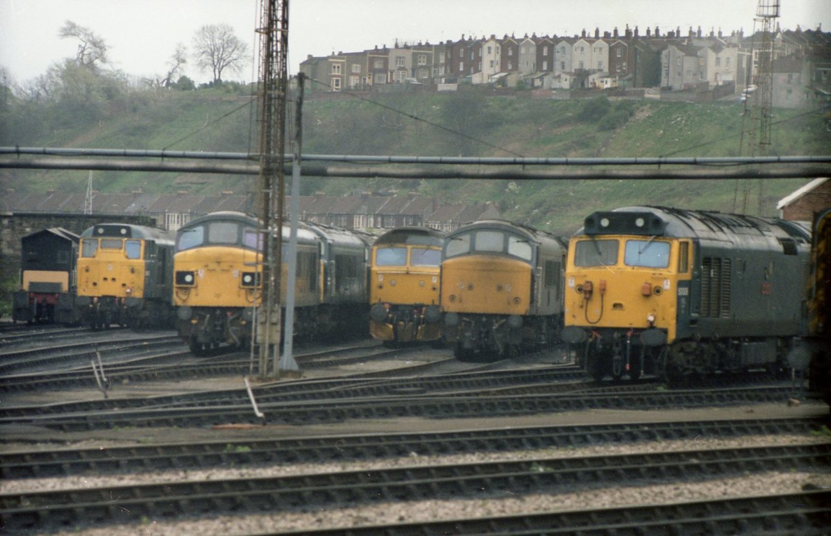 BR Bonus.   A wonderful world.  Fabulous array of power in the sidings at Bristol Bath Road on 12th April 1981.