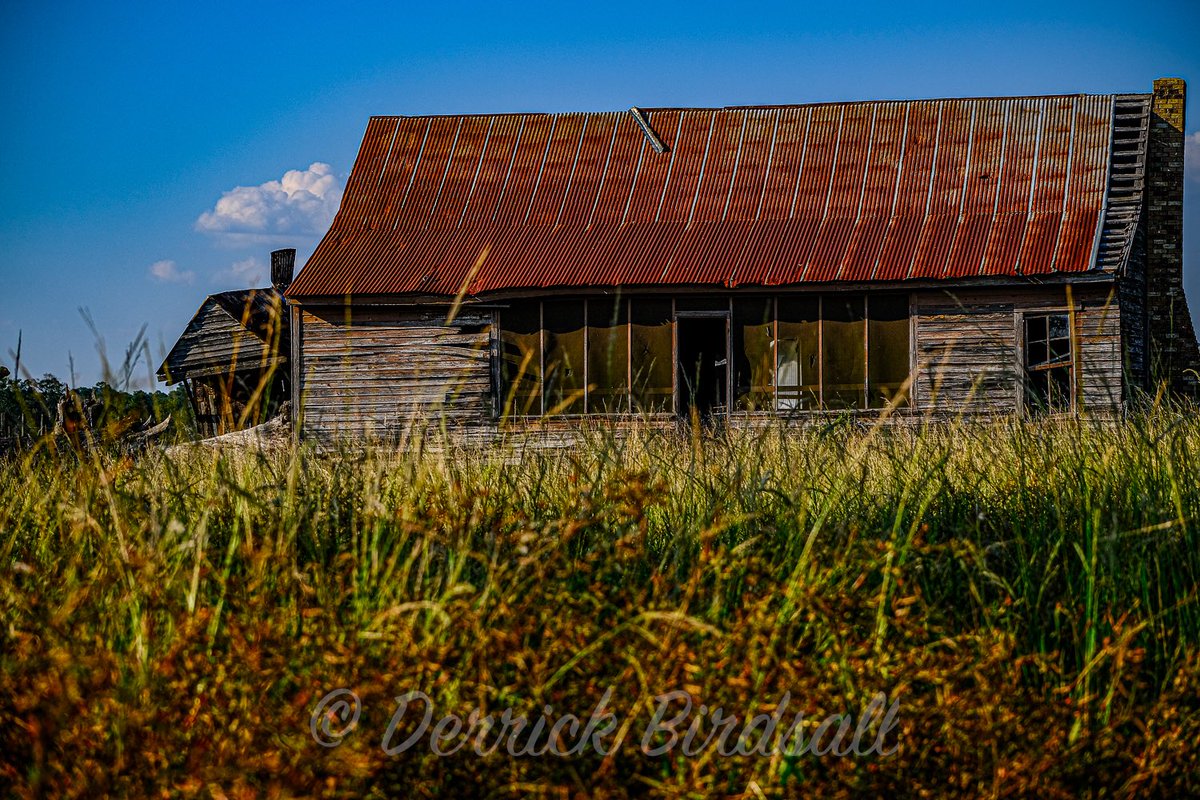 DB1911's tweet image. Along the Camino Real, not far off the road
#easttexas #daytrip #photooftheday
