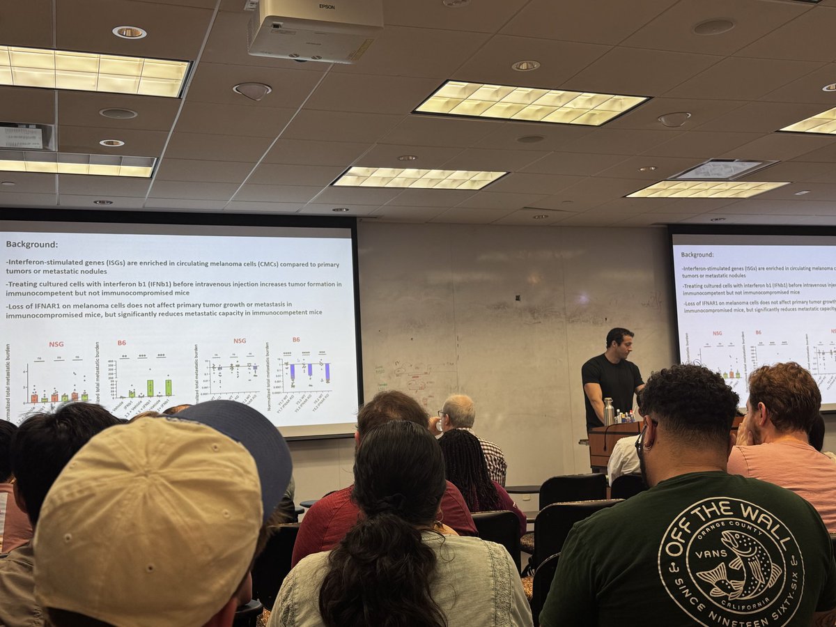 UTSWCancerBio's tweet image. This week’s #UTSWCancerBio WIP: Mark Mannino (Morrison Lab)
Type I Interferons & Metastatic Potential in Melanoma
Exploring how IFN signaling heterogeneity shapes melanoma metastasis and immune evasion through PD-L1 & CD47 pathways.
#CancerResearch #Immunology #Melanoma