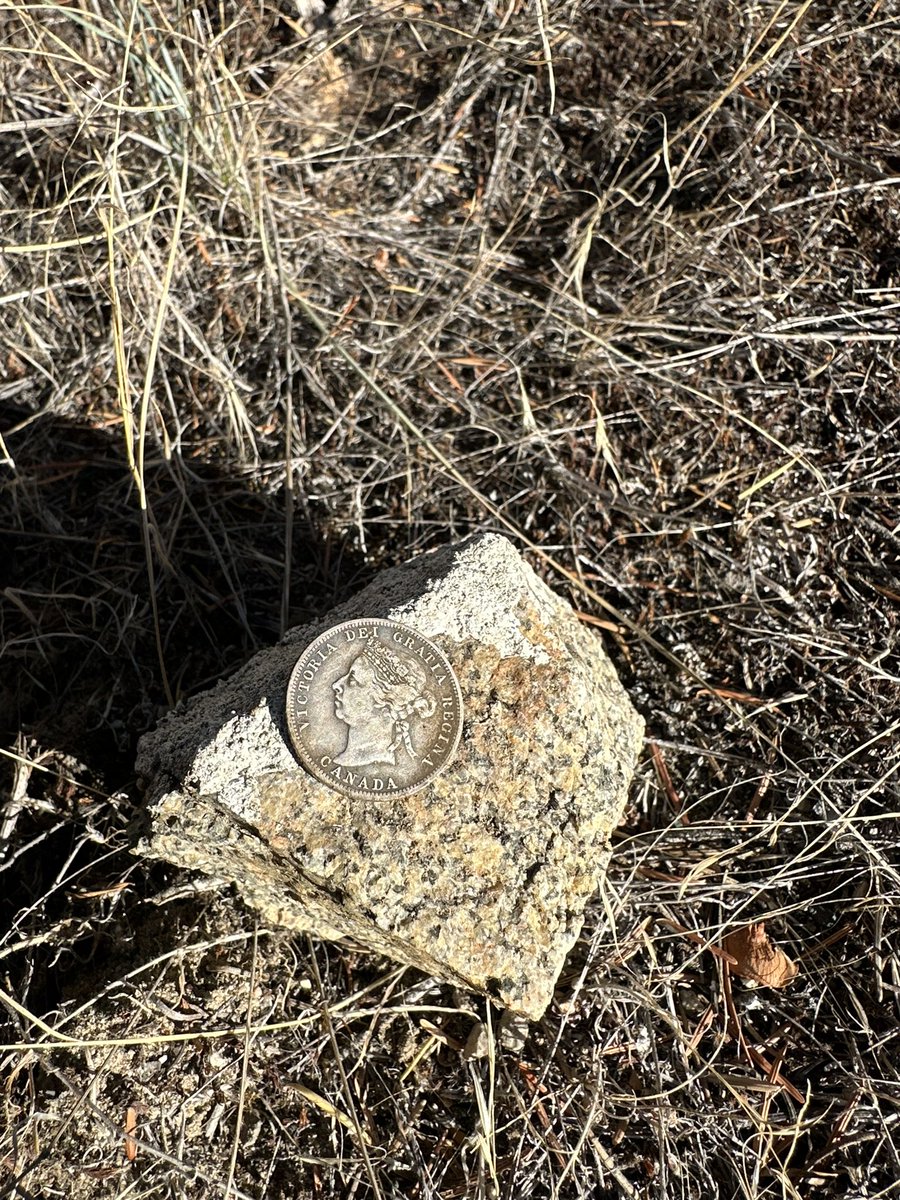 Tim Barkasy tweet media