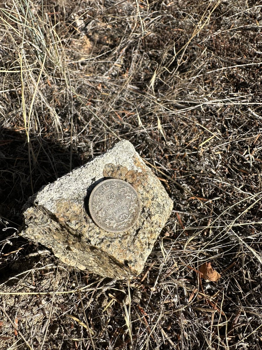 Tim Barkasy tweet media