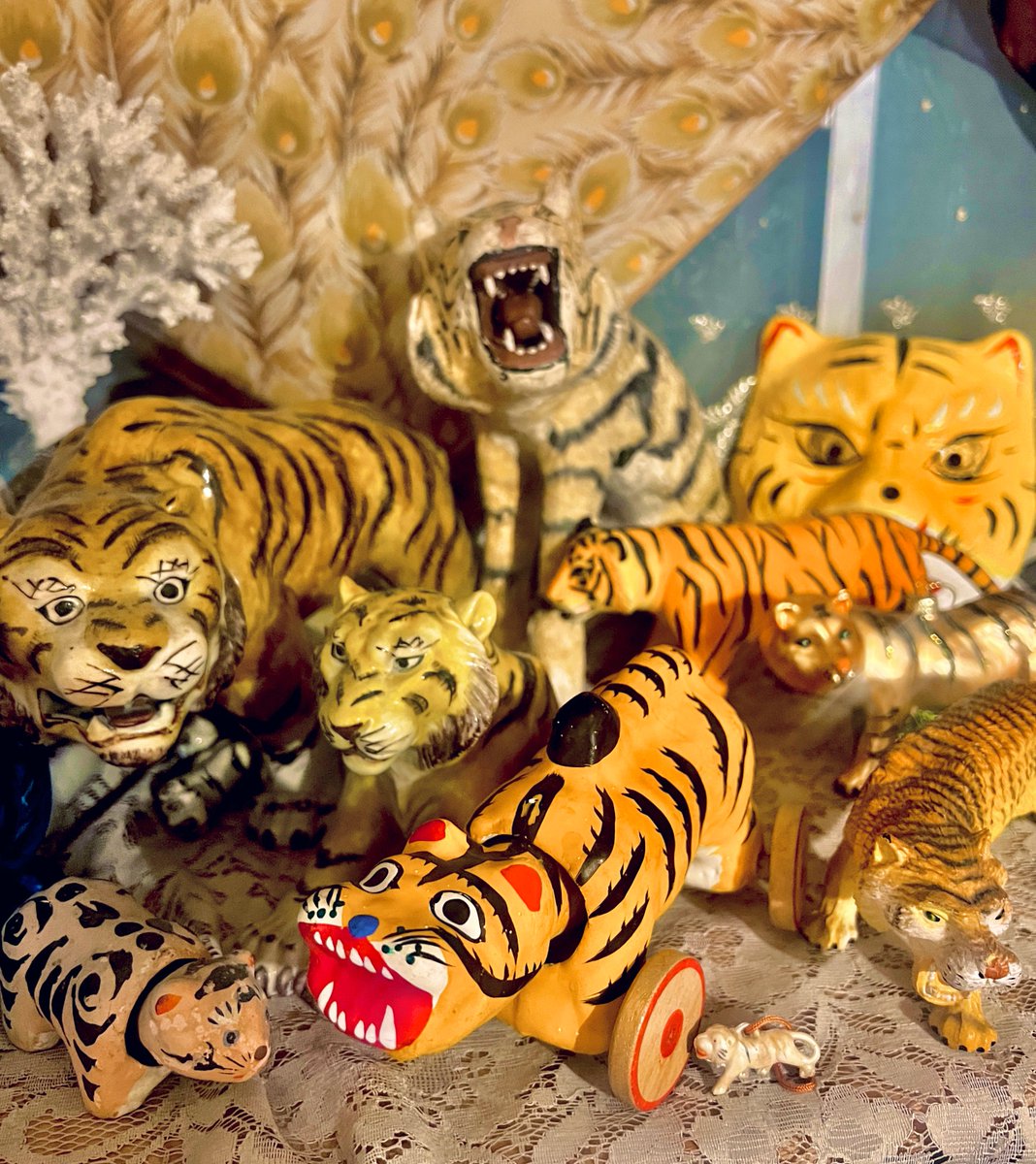 我が家の虎たち🫶まだまだ増やすぞ🐅