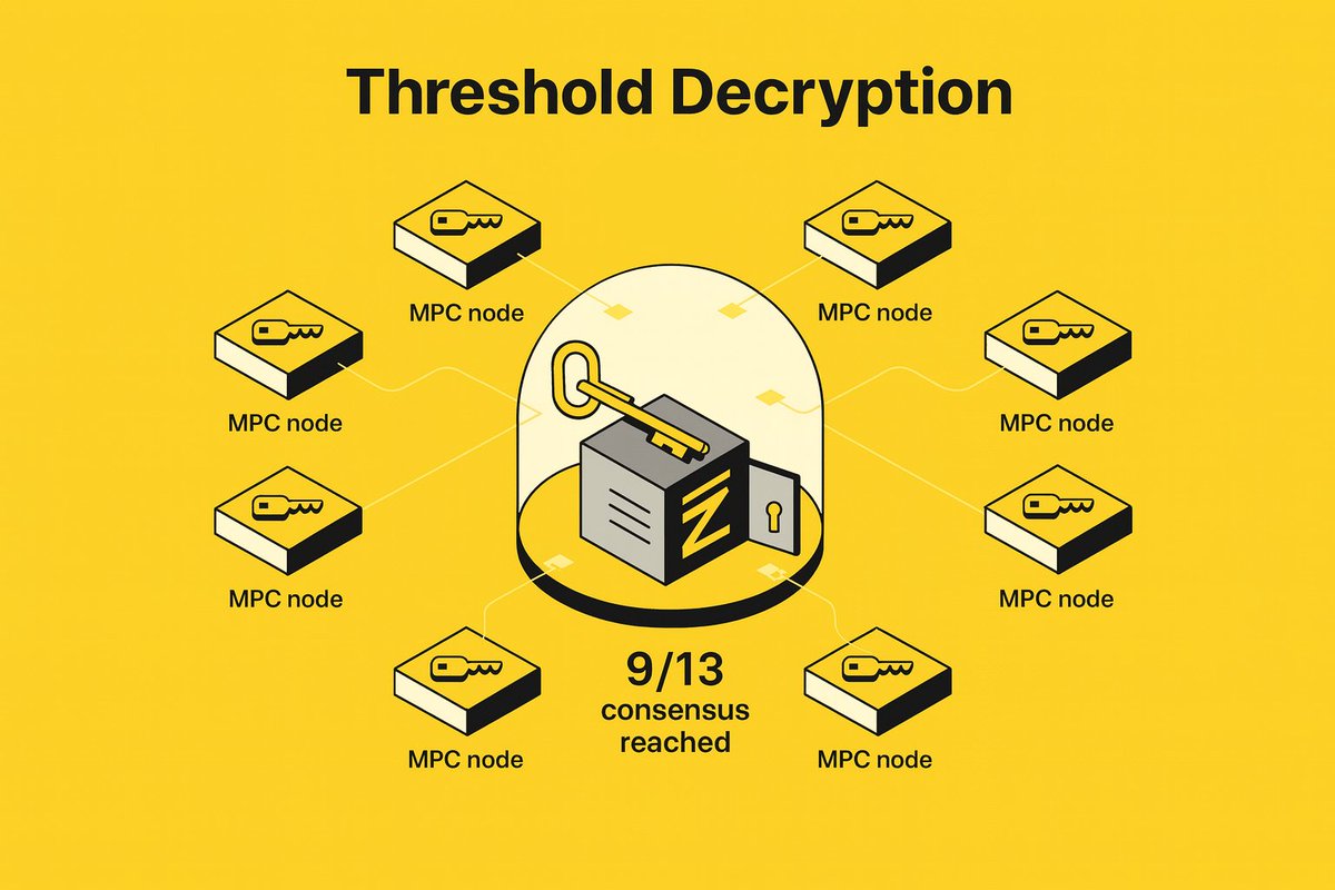 0xYoruichi 夢 ⭐ tweet media