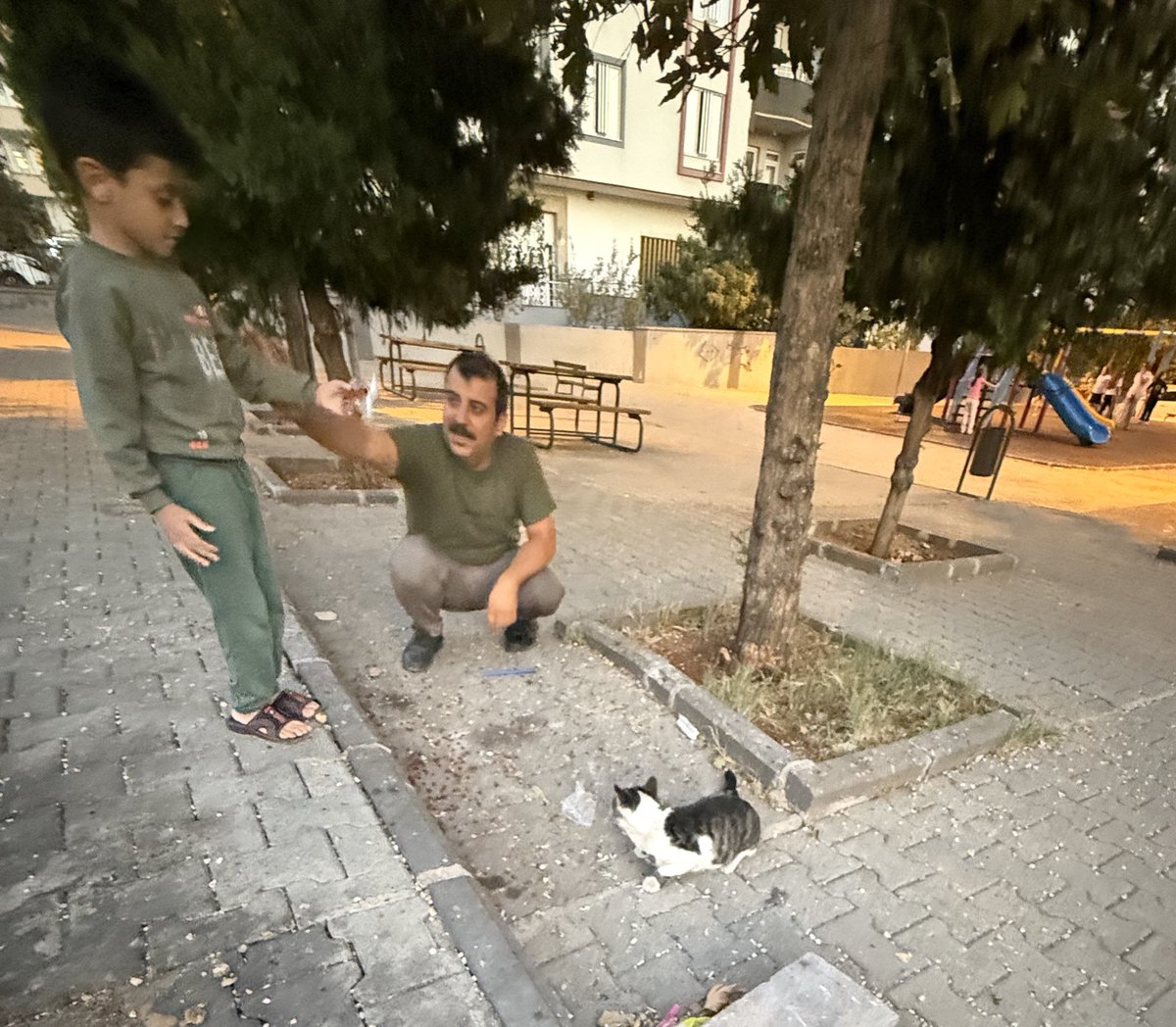 ErolOngur's tweet photo. 4 Ekim Dünya Hayvanları Koruma Günü’nde
Celal Bedirhan ve Mir Muhammed’le birlikte kedilere mama verdik.
Anaokullarında bu farkındalığın kazandırılması çok değerli.
Eğitim yalnızca sınıfta değil; merhametle, paylaşmayla, sorumlulukla başlıyor.

#4Ekim 
#4EkimHayvanlarıKorumaGünü https://t.co/h9sx1X65PB