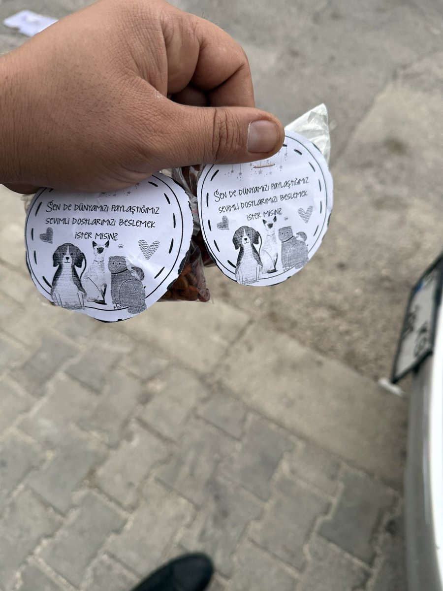ErolOngur's tweet photo. 4 Ekim Dünya Hayvanları Koruma Günü’nde
Celal Bedirhan ve Mir Muhammed’le birlikte kedilere mama verdik.
Anaokullarında bu farkındalığın kazandırılması çok değerli.
Eğitim yalnızca sınıfta değil; merhametle, paylaşmayla, sorumlulukla başlıyor.

#4Ekim 
#4EkimHayvanlarıKorumaGünü https://t.co/h9sx1X65PB