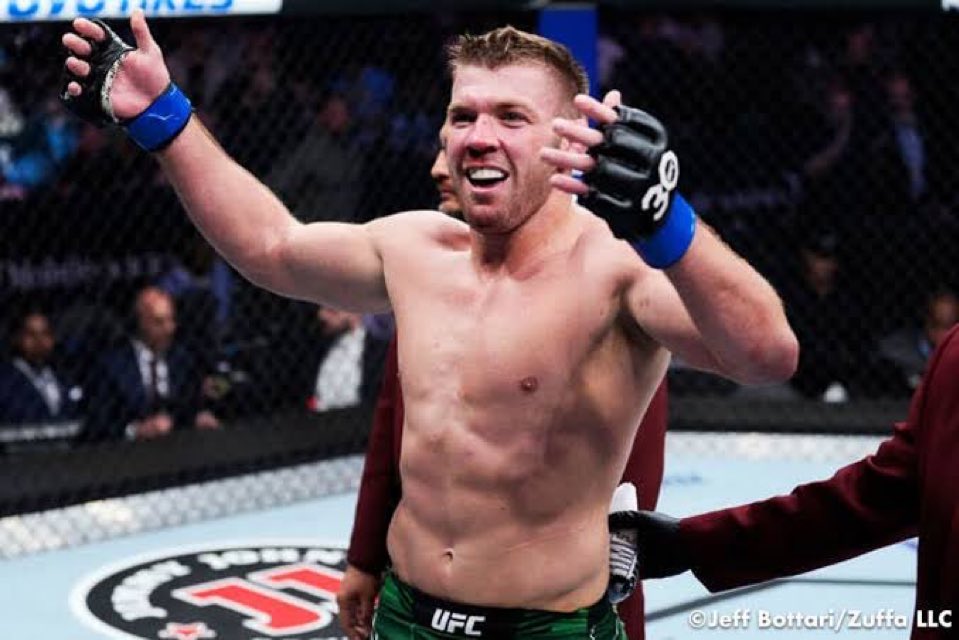 UFC Sim News tweet media