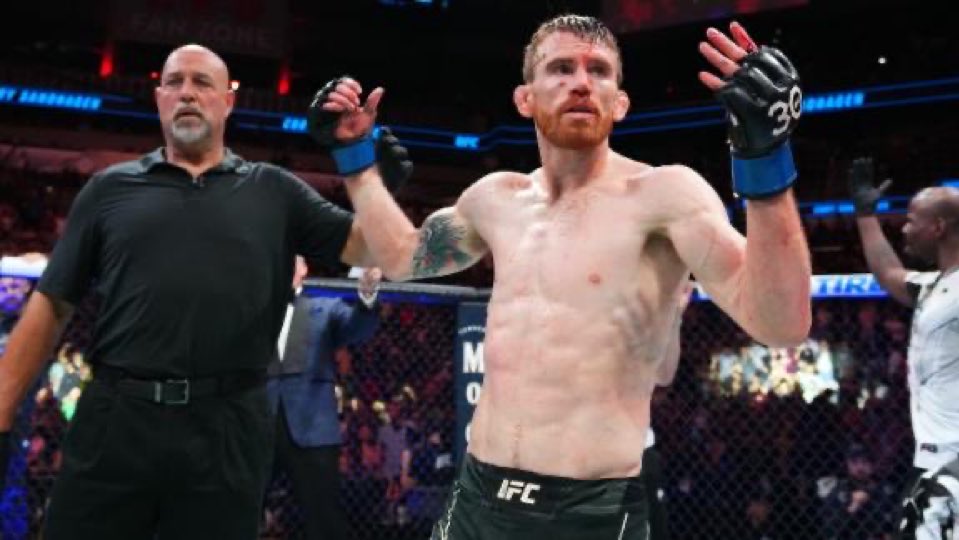 UFC Sim News tweet media