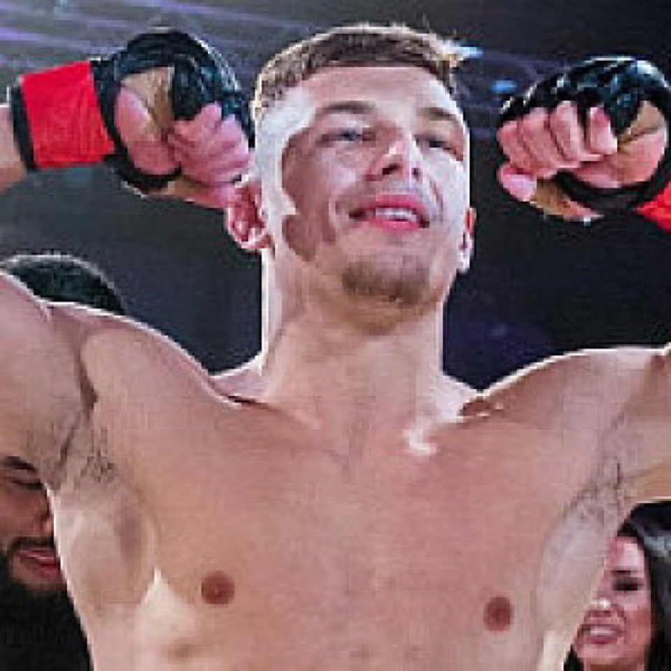 UFC Sim News tweet media