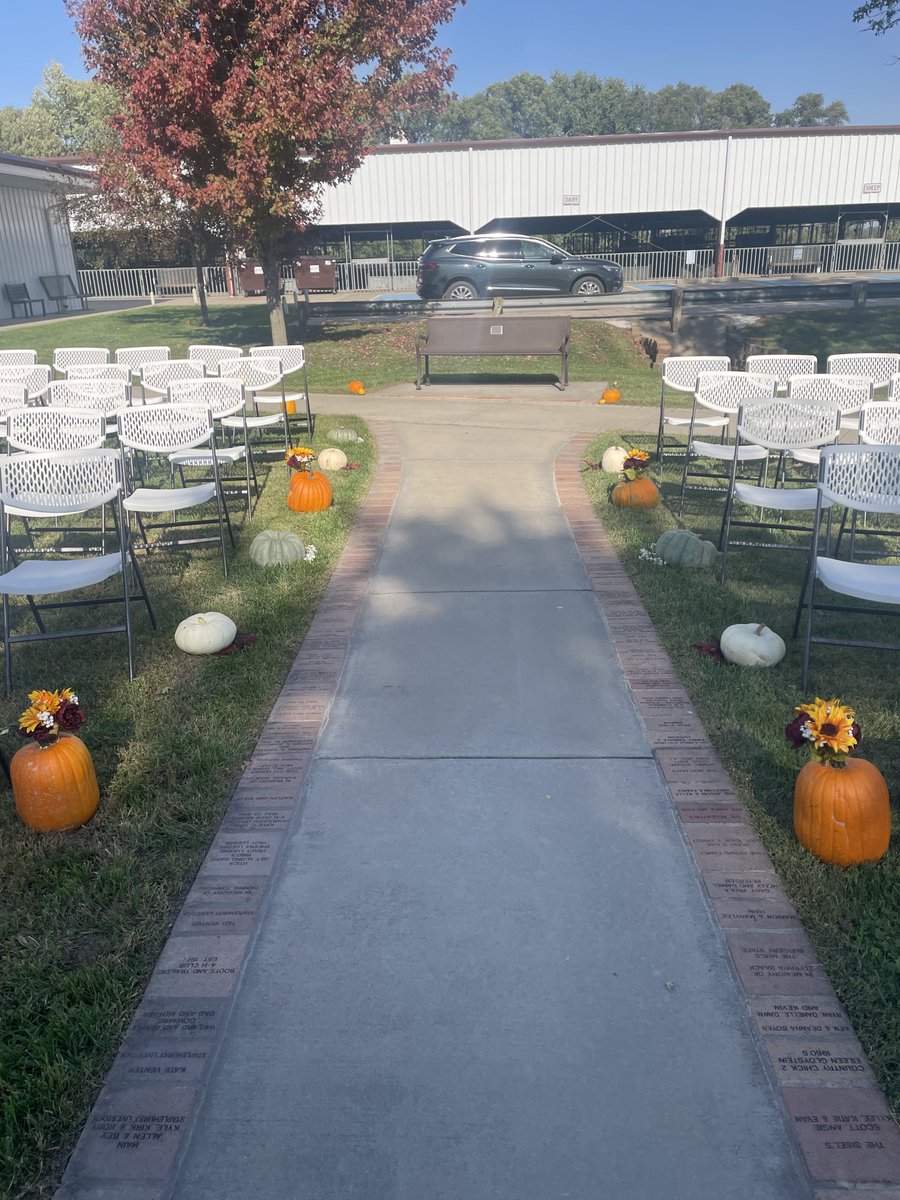 Set up is complete and looking good