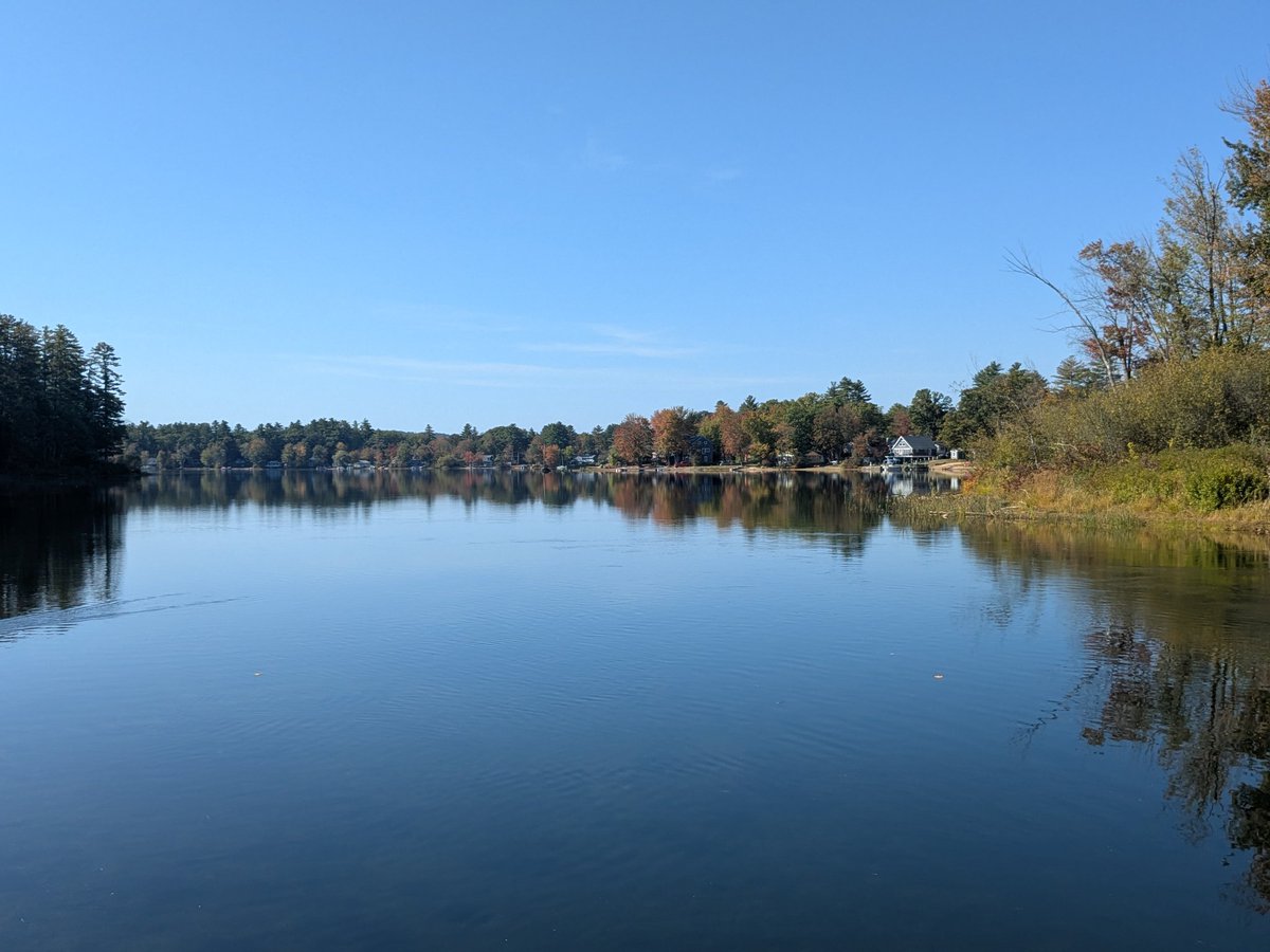 Mayor of Manchester™ tweet media