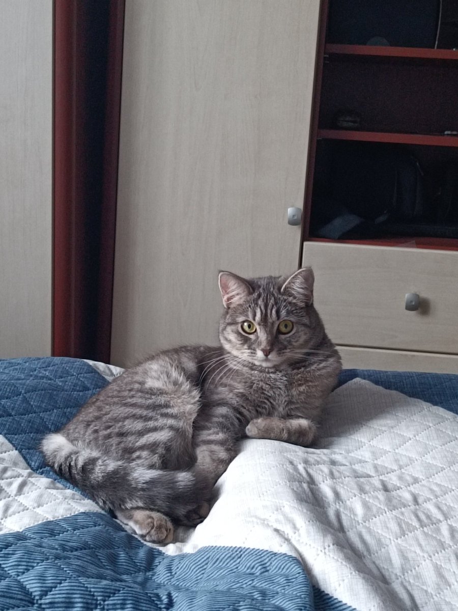 HelisEston's tweet photo. @psycho__cats +1 https://t.co/7n7xjRiZAl