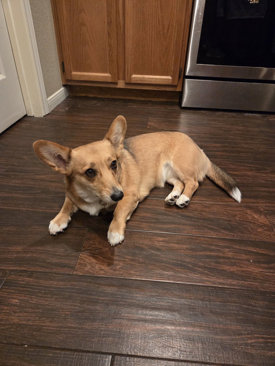 Pouty baby pupset we are obviously packing for a trip.